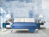 Richsleep FreshTouch Dual Comfort Plus | Single Size Mattress | IIT Delhi-certified, PU-Act Gen used to protect  Bacteria, Fungi & Virus| Blue | 10 years Warranty